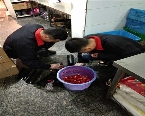 北京通州區(qū)食品廠滅臭蟲服務(wù)全解析 專業(yè)除蟲與公關(guān)策略
