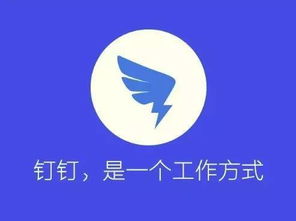 科技與金融的雙重奏 網(wǎng)易養(yǎng)豬眾籌與閱文上市背后的公關(guān)邏輯