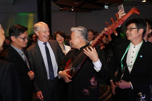 方錦龍 國(guó)樂演奏 網(wǎng)紅第一人